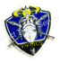 DTS PIN Viking Badge