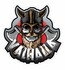 DTS Aufkleber Viking Valhalla