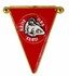 DTS PIN Wimpel Nude Bus Club