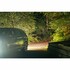 Dunkles Auto mit hellen R�ckfahrscheinwerfern im Wald bei Nacht.